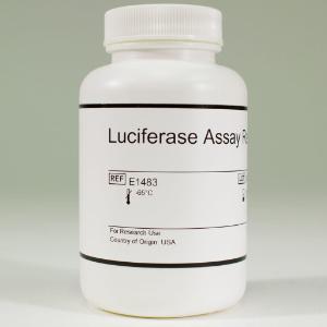 Luciferase Assay Reagent, 100 ml, Promega