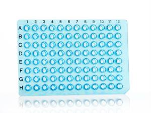 PCR plate, blue