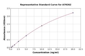 Representative standard curve for Human TRP2/DCT ELISA kit (A79262)