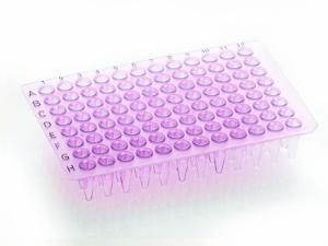 PCR plate, purple