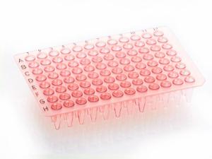 PCR plate, red