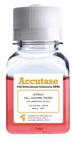 ICT Accutase Cell Detachment Solution