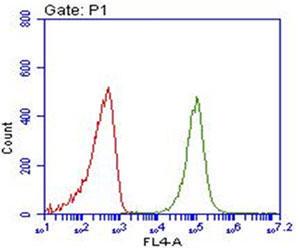 Pierce™ DyLight™ PEGylated Dyes, Antibody Labelling Dyes, Thermo Scientific