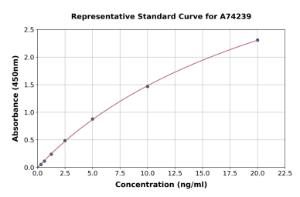 Representative standard curve for Human Ovalbumin Specific IgG ELISA kit (A74239)