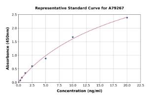 Representative standard curve for Human DDT ELISA kit (A79267)