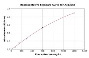 Representative standard curve for human FOXM1 ELISA kit (A313256)