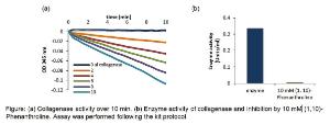 Collagenase Activity Colorimetric Assay Kit