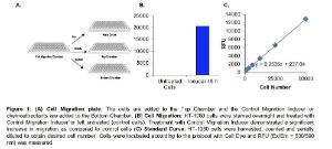 EZCellTM Cell Migration/Chemotaxis Assay Kit (96-well, 8 µm), BioVision