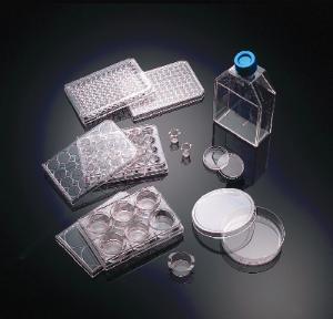 Corning® BioCoat® Collagen IV-coated Culture Dishes, Corning