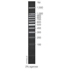 100 bp DNA Ladder, 250 µl, Promega