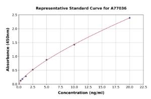 Representative standard curve for Human NFkB ELISA kit (A77036)