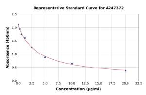 Representative standard curve for LPS ELISA kit (A247372)