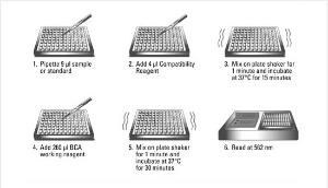 Pierce™ BCA™ Protein Assays, Reducing Agent Compatible, Thermo Scientific