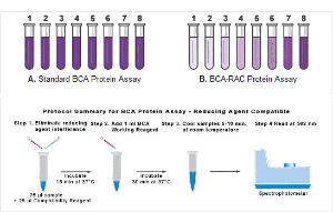 Pierce™ BCA™ Protein Assays, Reducing Agent Compatible, Thermo Scientific