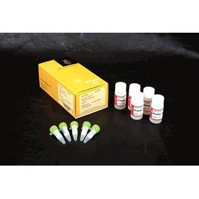 CytoTox-Fluor Cytotoxicity Assay, 10 ml, Promega