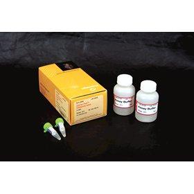 CytoTox-Fluor Cytotoxicity Assay, 10 ml, Promega