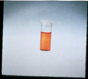 Shell Vials, Borosilicate Glass, with TITESEAL® Cap, Kimble Chase, DWK Life Sciences