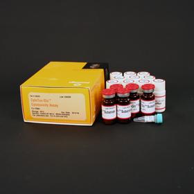CytoTox-Glo Cytotoxicity Assay, 10 ml, Promega