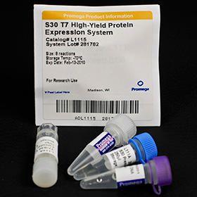 S30 T7 High-Yield Protein Expression System, Promega