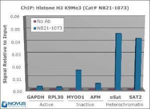 Alpha Satellite repeat primer, Novus Biologicals (NBP1-71654)
