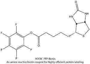 HOOK™ Amine Reactive Biotin Reagents & Kits for Highly Efficient Protein Labeling, G-Biosciences