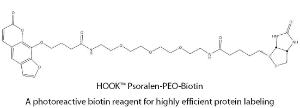 HOOK™ Photoreactive Biotin Reagent for Highly Efficient Protein Labeling, G-Biosciences