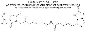 HOOK™ Amine Reactive Biotin Reagents & Kits for Highly Efficient Protein Labeling, G-Biosciences