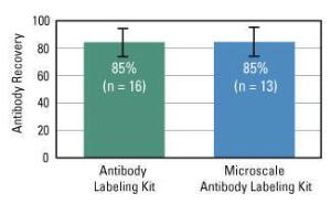 Pierce™ DyLight™ Antibody Labeling Kits, Thermo Scientific