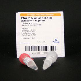 DNA Polymerase I Large (Klenow) Fragment, Promega