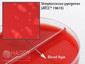 Blood Agar, Hardy Diagnostics