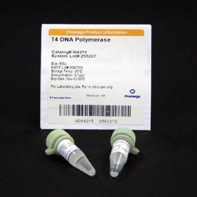 T4 DNA Polymerase, Promega