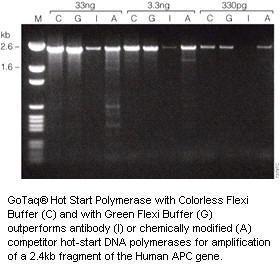 GoTaq Hot Start Polymerase, Promega