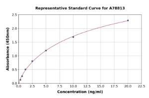 Representative standard curve for Human SOD2/MnSOD ELISA kit (A78813)