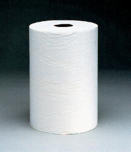 SCOTT® Hard Roll Paper Towels, Kimberly-Clark Professional®