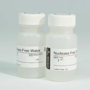 Water nuclease-free