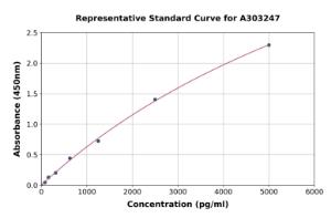 Representative standard curve for Human ERG ELISA kit (A303247)