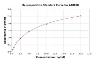 Representative standard curve for Human SOX9 ELISA kit (A78818)