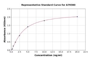 Representative standard curve for Rat ErbB2/HER2 ELISA kit (A79300)