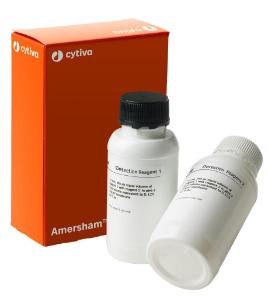 Amersham ECL western blotting detection reagent