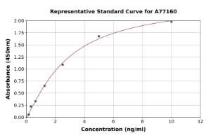 Representative standard curve for Human PMP22 ELISA kit (A77160)