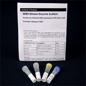 HER2 Kinase Enzyme System, Promega