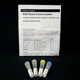 RON Kinase Enzyme System, Promega