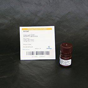X-Gal (5-bromo-4-chloro-3-indolyl-ß-D-galactopyranoside) 50 mg/mL in DMF