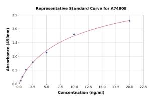 Representative standard curve for Human NMDAR2B ELISA kit (A74808)