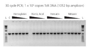Inhibitor Resistance of AccuStart II PCR ToughMix<br />A 1 kb fragment from 1e4 copies of the Tetracyclin resistance gene was amplified in 20 µL reaction volumes according to the recommended protocol. Reactions were challenged with varying concentrations of different PCR inibitors as summarized below.