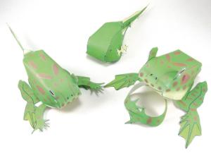 Model kit frog life cycle