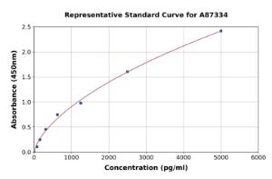 Representative standard curve for Rat BCRP/ABCG2 ELISA kit (A87334)