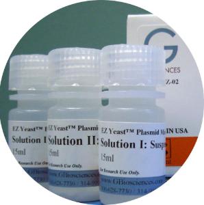 EZ Yeast™ Plasmid Prep for Extraction of Plasmids from Yeast, G-Biosciences