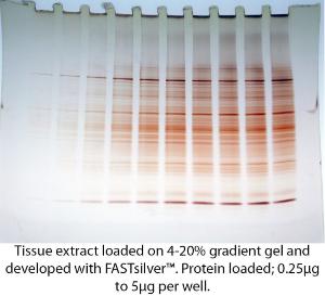 FASTsilver™, Rapid Silver Stain for Protein Gels and Nucleic Acids, G-Biosciences
