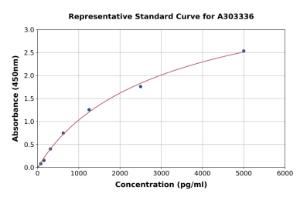 Representative standard curve for Human IRF7 ELISA kit (A303336)